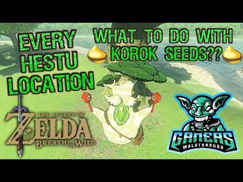 Legend of Zelda Breath of the Wild Location of Korok Seed Guy Hetsu what to do with korok seeds