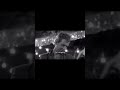 Rusty James tired so hard to be like motorcycle boy | owner 1 | #rumblefish #edit #blowup #viral