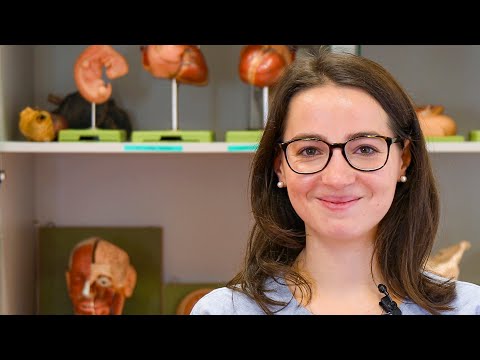 MaReCuM – Erste Wahl