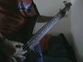 Screeching Weasel - Planet Of The Apes bass cover