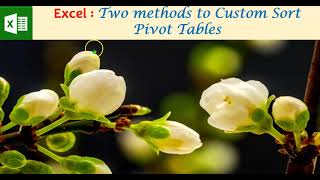 Excel : Two methods to Custom Sort Pivot Tables