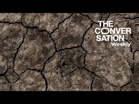 India and Pakistan heatwave is a sign of worse to come