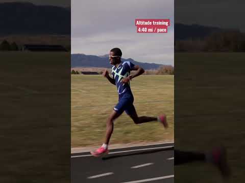 600m reps @ 6k feet w/ @DanteAugust 🏔️