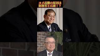 コメ高騰の原因は、財務省と石破⁉︎#aiart #政治 #増税