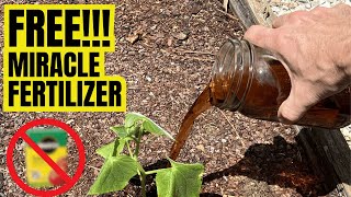 Say Goodbye To Overpriced Fertilizers | This FREE DIY RECIPE Will Blow Your Mind