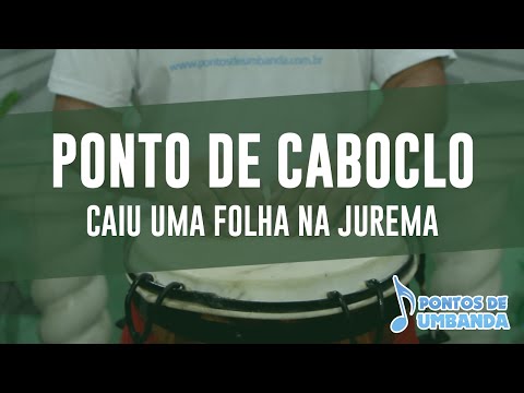 Capa do vídeo: Caiu uma folha na Jurema