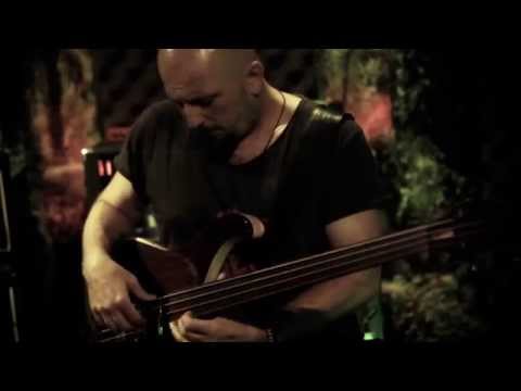 MARIO RAŠIĆ & BALKAN ZOO ENSEMBLE - ROOTS AND WEEDS (OFFICIAL VIDEO)