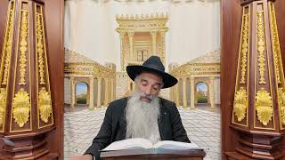 הרב מאיר דוד שמואלי - הלכות נשיאת כפים סימן קכ"ח סעיפים ל - מא