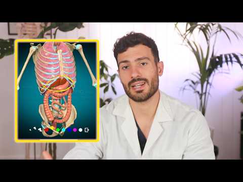 5 SYMPTOMS of a Blocked Diaphragm (Here's What to Do)