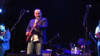 COLIN HAY  -  WHO CAN IT BE NOW?