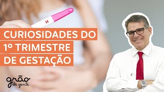 ESTÁ GRÁVIDA? VEJA O QUE ESPERAR NO 1º TRIMESTRE DE GESTAÇÃO