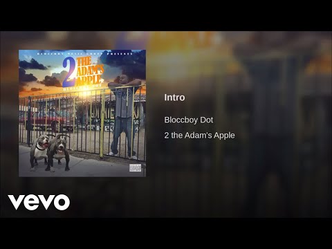 Bloccboy dot - Intro