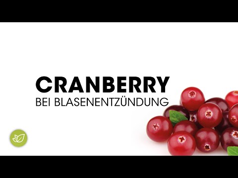 Cranberry bei Blasenentzündung