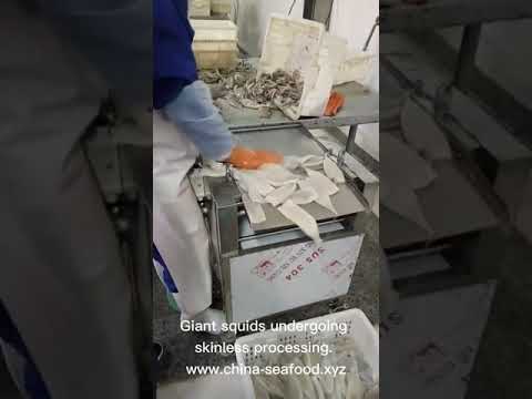 Demo for giant squid tube skinless from China seafood factory,supplier and exporter.