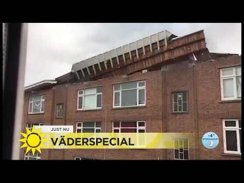 Meteorologen: "Värsta stormen på 11 år" - Nyhetsmorgon (TV4)