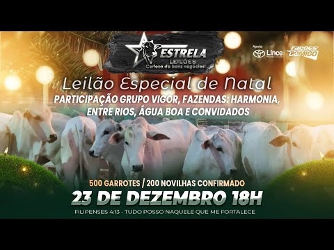 ESTRELA LEILÕES -  23  / 12  / 2025 -  18:00 HS. - Morrinhos  - Goiás