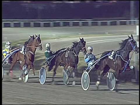 Trotto 24/01/2017 - 5ª corsa