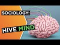 Hive mind: The good, the bad, and the viral | Sarah Rose Cavanagh | Big Think