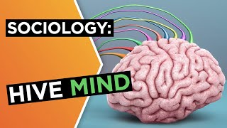 Hive mind: The good, the bad, and the viral | Sarah Rose Cavanagh