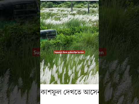 🌿Sorot jeno pokriti ke notun howai sajai#sharmin