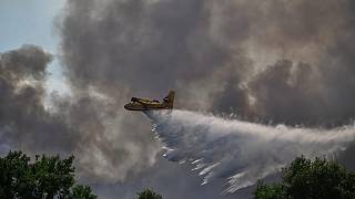 Waldbrand im Südosten Frankreichs: Feuerwehr kämpft gegen Flammen