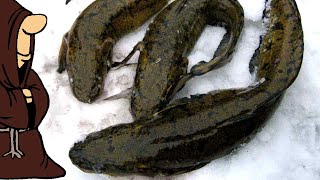Ловля налима зимой на удочку