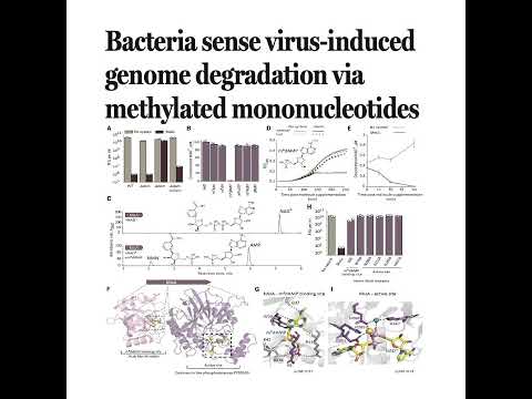 1546-Bacterial Sense Phage-Induced Genome Degradation