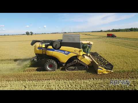 2017 RICE HARVEST - NEW HOLLAND CX8090 Elevation & 8090 MASSEY FERGUSON 6613 7480 & TESTORE