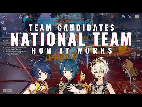 National Team Guide | Rotations & Characters | Genshin Impact