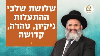 סדרת קנייני תורה | שיעור מס'  22 | 'בטהרה' (א) | שלושת שלבי ההתעלות ניקיון, טהרה, קדושה
