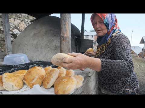 Anatolian Water Buffalo in Countryside