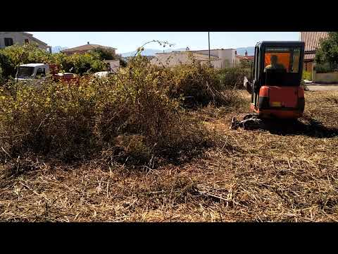 Mini Decespugliatore idraulico trincia erba