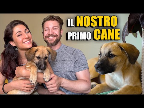 Abbiamo adottato un CUCCIOLO!