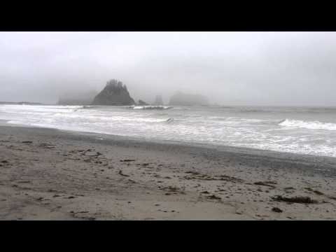 Sea Stacks near Olympic National Park's Rialto Beach - La Push, WA