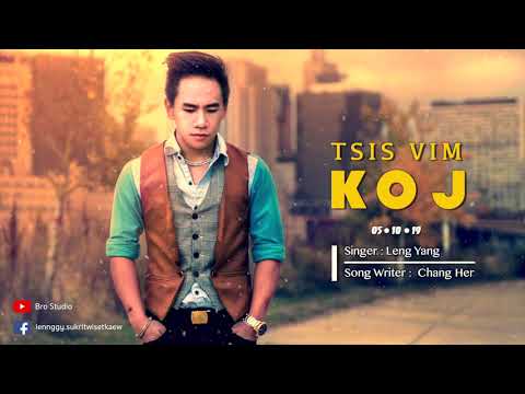 Tsis Vim Koj - Leng Yang (OFFICIAL AUDIO)