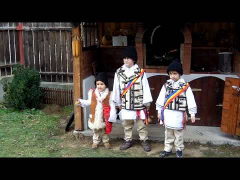 Plugusor2013 la PoianaSarata