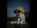 True Motivation Whatsapp Status New WhatsApp Status Motivation Status New WhatsApp Status Motivation