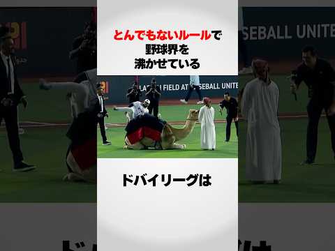 『ドバイリーグ』のルールが面白すぎる！！