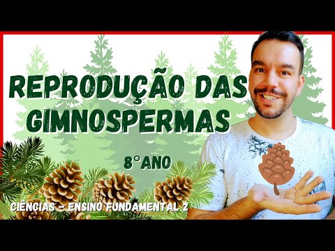 CICLO REPRODUTIVO DAS GIMNOSPERMAS | 8° ano - Aula completa | CIÊNCIAS 2021 | Ensino fundamental 2.