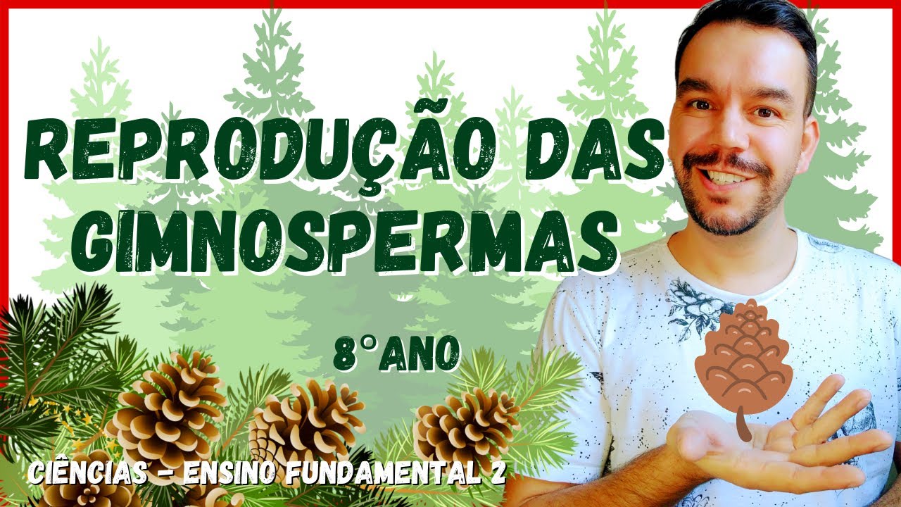CICLO REPRODUTIVO DAS GIMNOSPERMAS | 8° ano - Aula completa | CIÊNCIAS 2021 | Ensino fundamental 2.