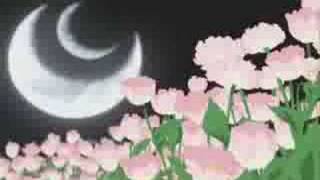 Rainie Yang-♥Wan Mei Bi Li♥(AMV)