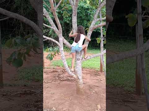 Rancho Vigorelli, cedro, Trindade Goiás..