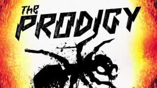 THE BEST OF PRODIGY (2013)