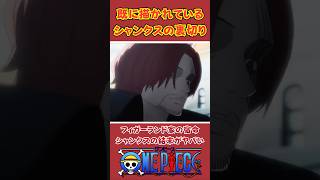 【ワンピース】シャンクスの裏切り！“フィガーランド家”と世界政府の繋がりがヤバい ※最新話ネタバレ注意 #ワンピース #onepiece #考察