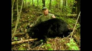 preview picture of video 'Black Bear Hunt at Sunset Lodge on Red Lake'
