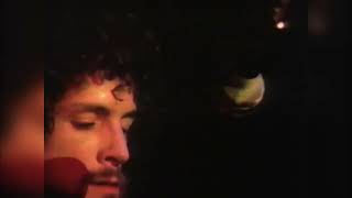 "Never Going Back Again"  live 1977. Fleetwood Mac/Lindsey Buckingham.