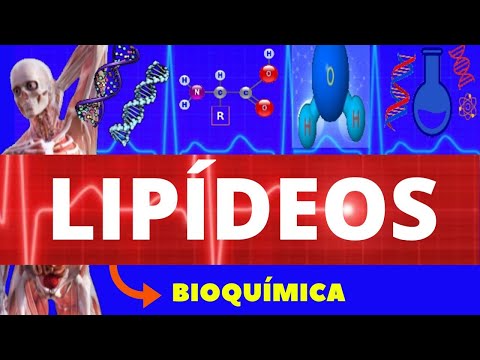 LIPÍDEOS - BIOQUÍMICA (ENSINO SUPERIOR) - COMPOSTOS ORGÂNICOS - ESTRUTURA, TIPOS E FUNÇÕES - LIPÍDEO