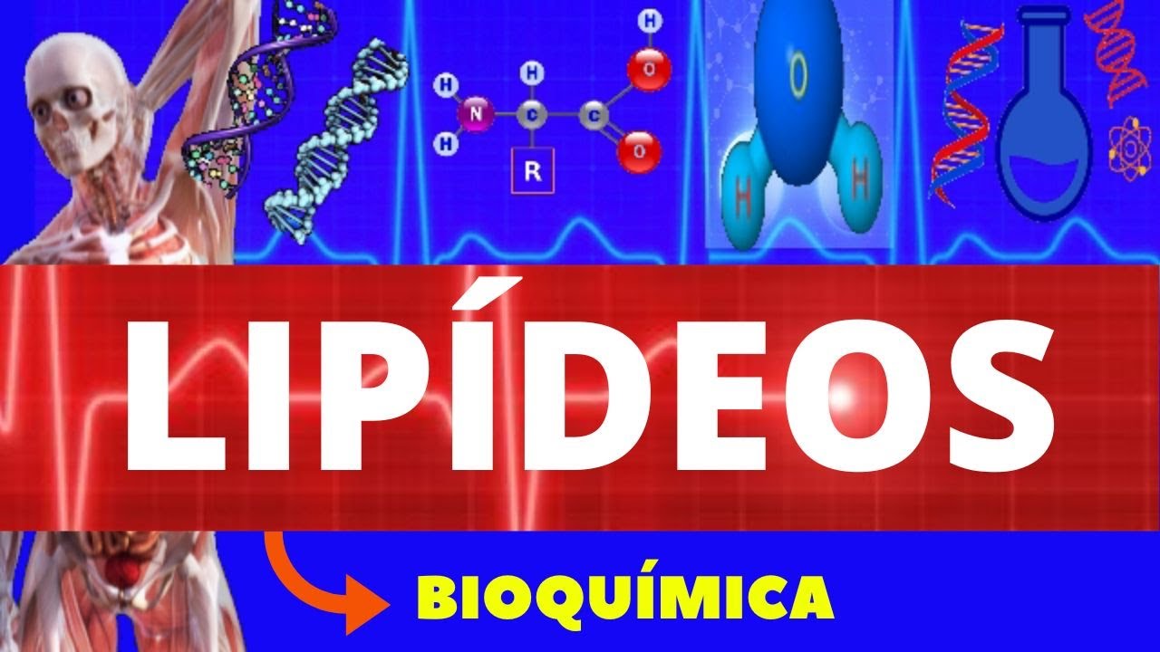 LIPÍDEOS - BIOQUÍMICA (ENSINO SUPERIOR) - COMPOSTOS ORGÂNICOS - ESTRUTURA, TIPOS E FUNÇÕES - LIPÍDEO