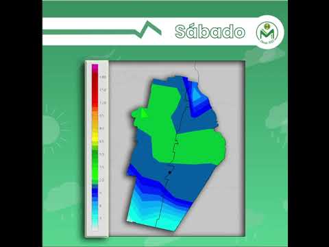 11 de noviembre de 2025