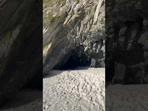 This is a  hidden beach in New Zealand !! 🤩 . #shorts, #nz